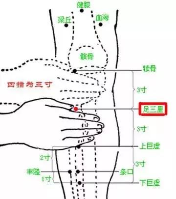 微信图片_20200211135413.jpg