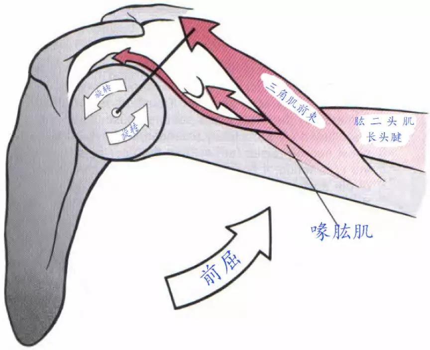 微信图片_20200213144131.jpg