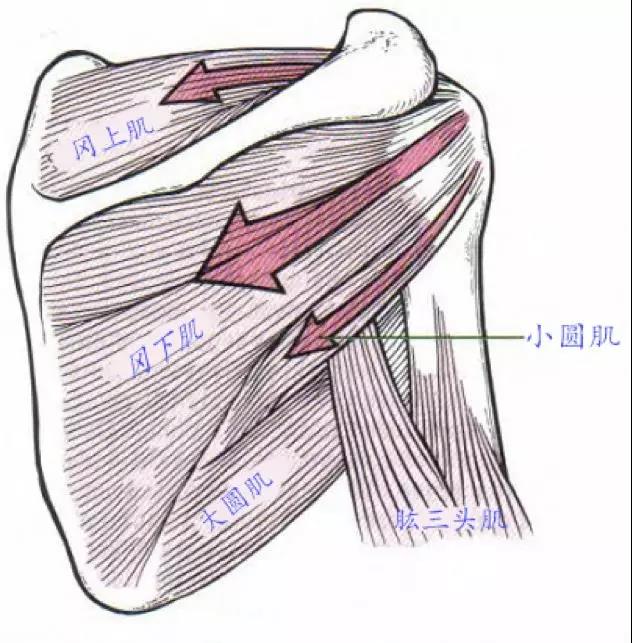 微信图片_20200213144216.jpg