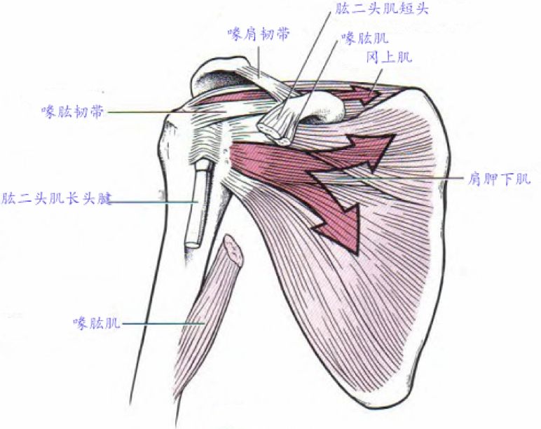 微信图片_20200213144219.jpg