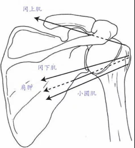 微信图片_20200213144228.jpg