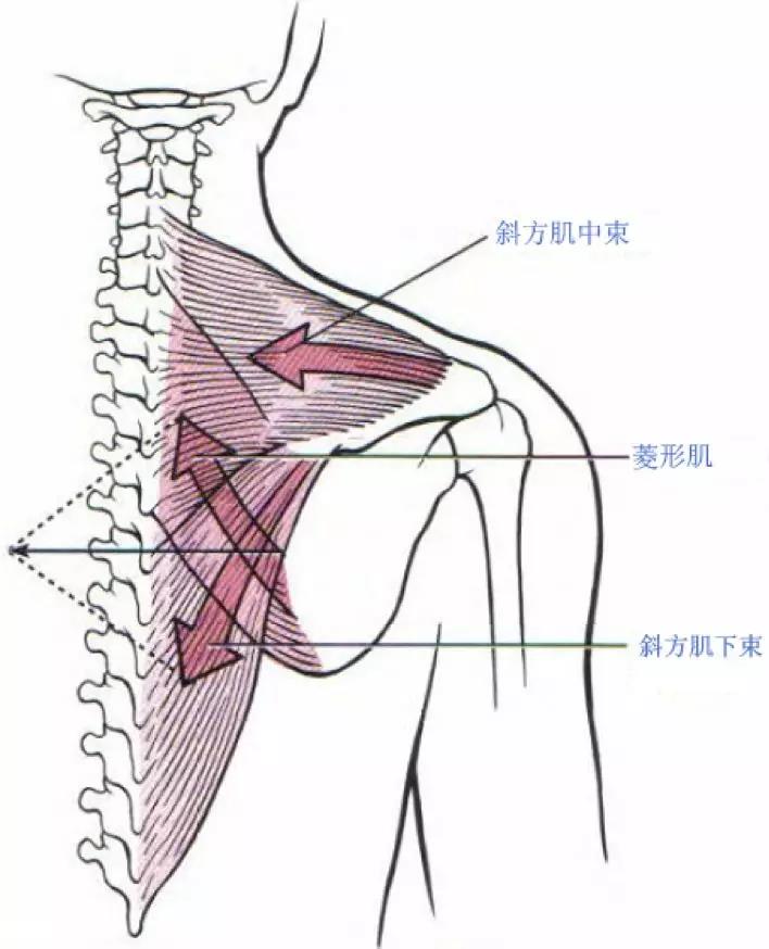 微信图片_20200213152552.jpg