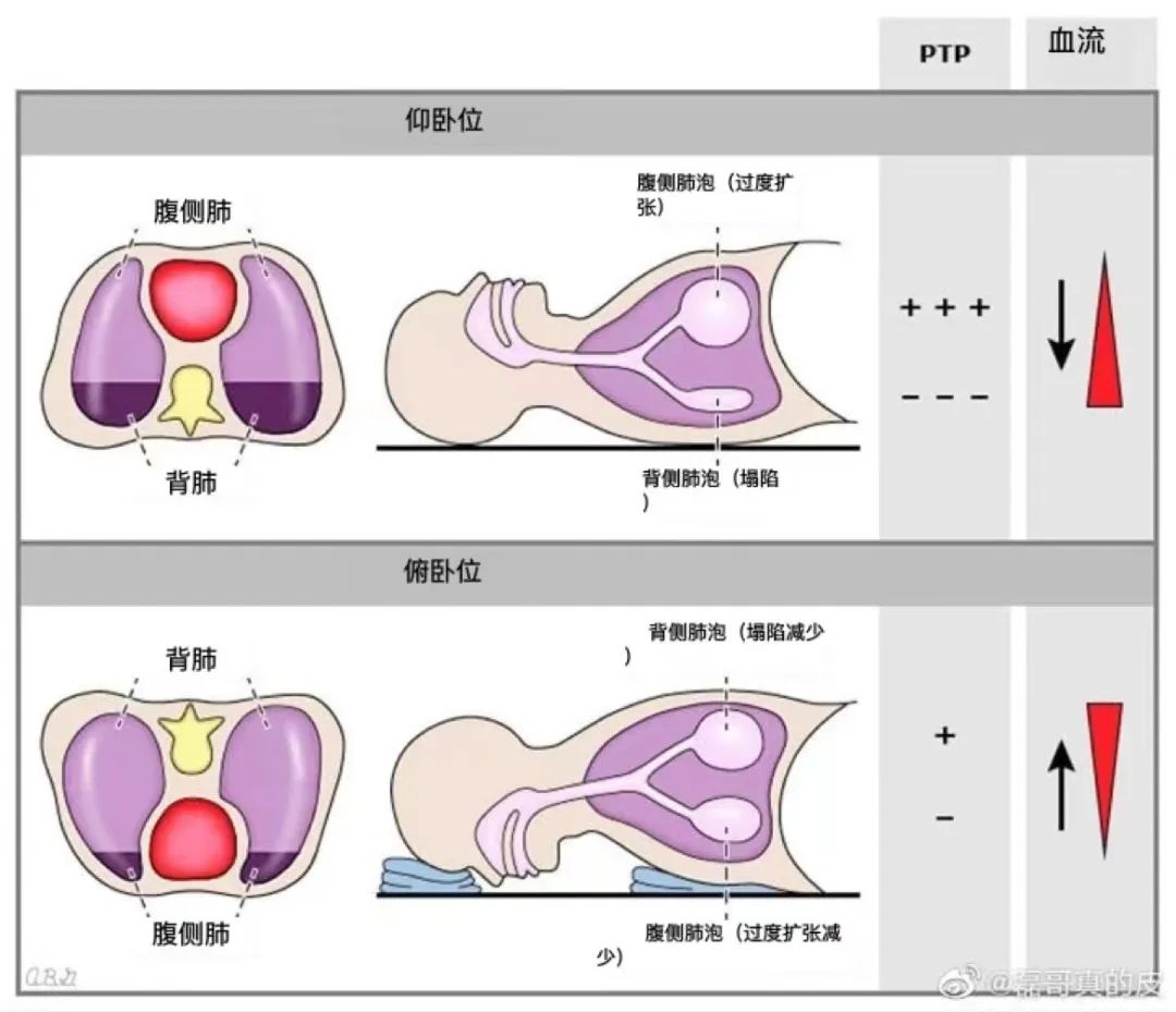 微信图片_20230109194928.jpg